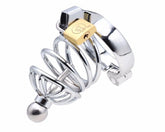 Instituted Cock Cage & Penis Plug Male Chastity
